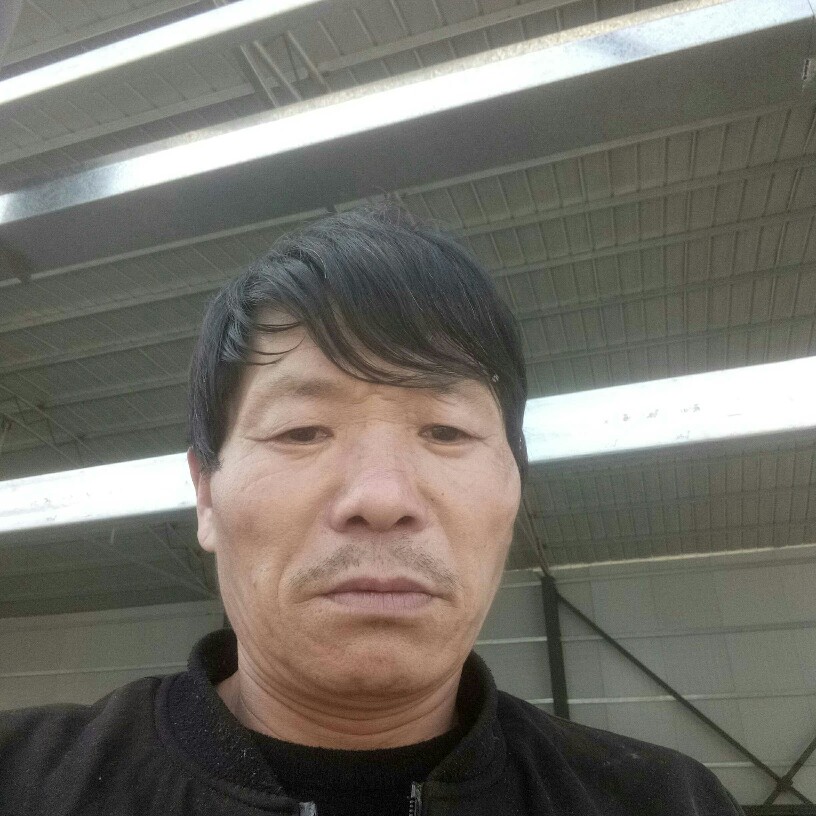 Nibongbe的照片