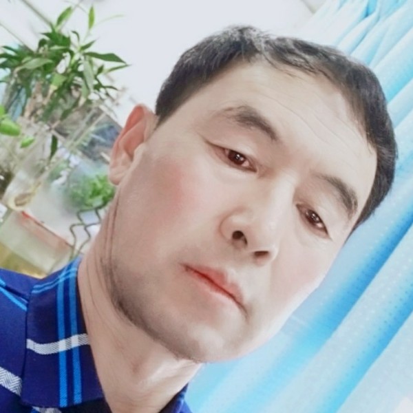 东北福娃的照片