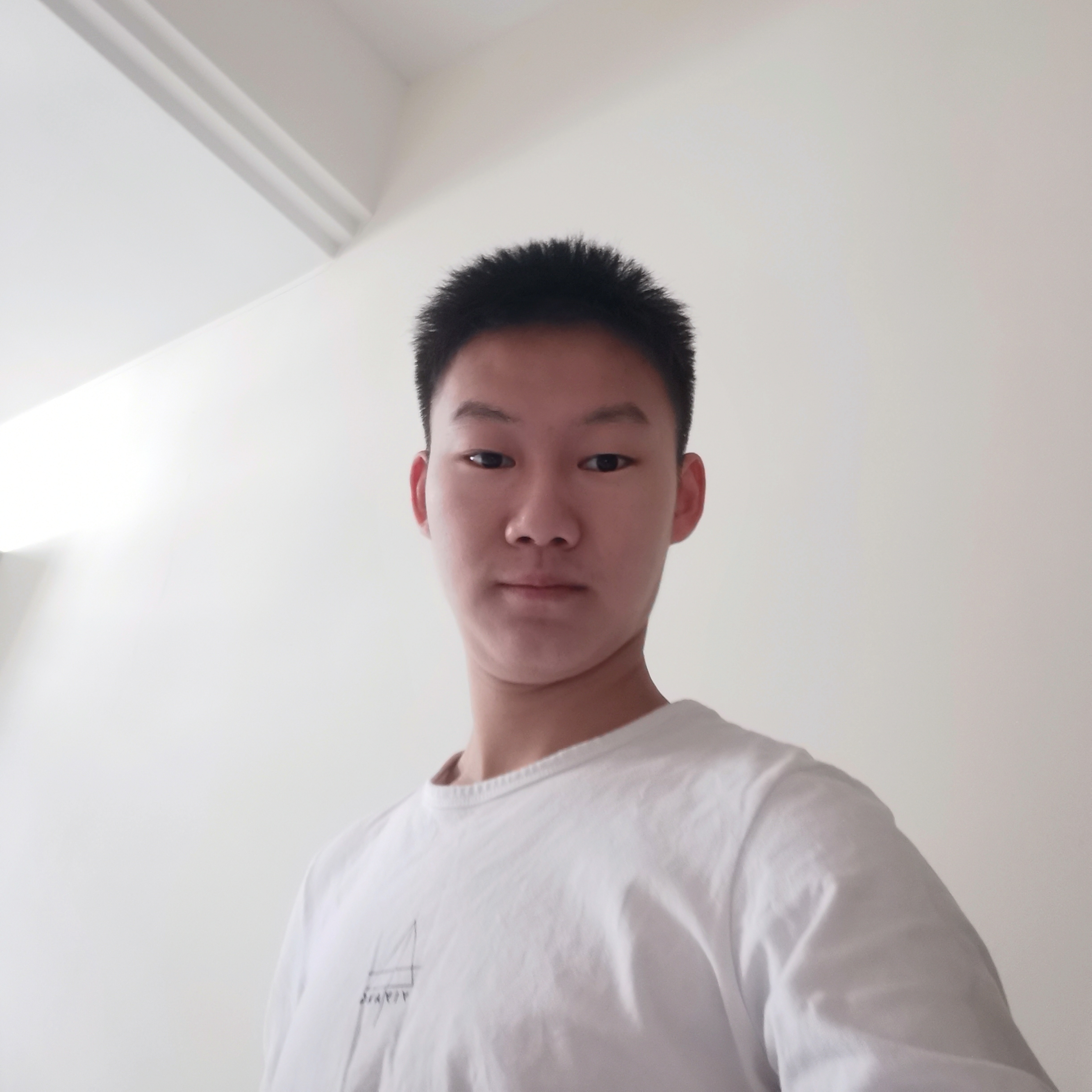 小刺猬迎美好的照片