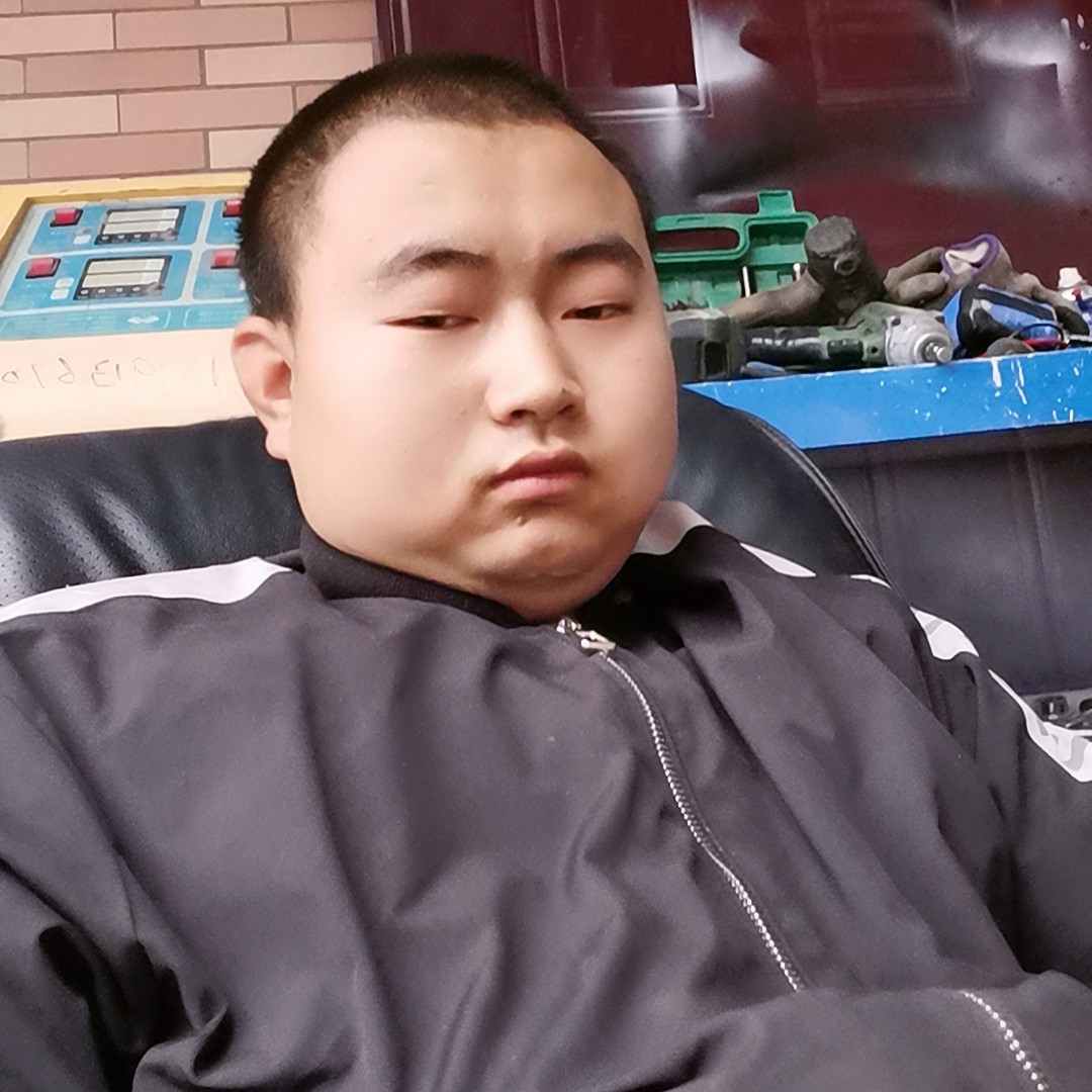 凶狠凝眸狗的照片