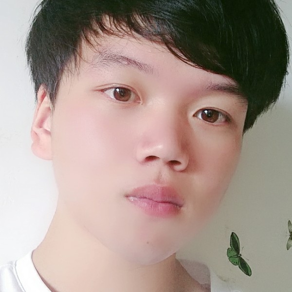 猫咪放弃贪玩的照片