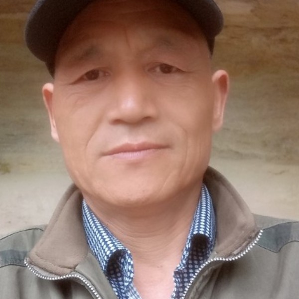 鸭子多么灼热的照片