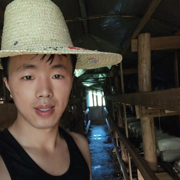 木林森....的照片