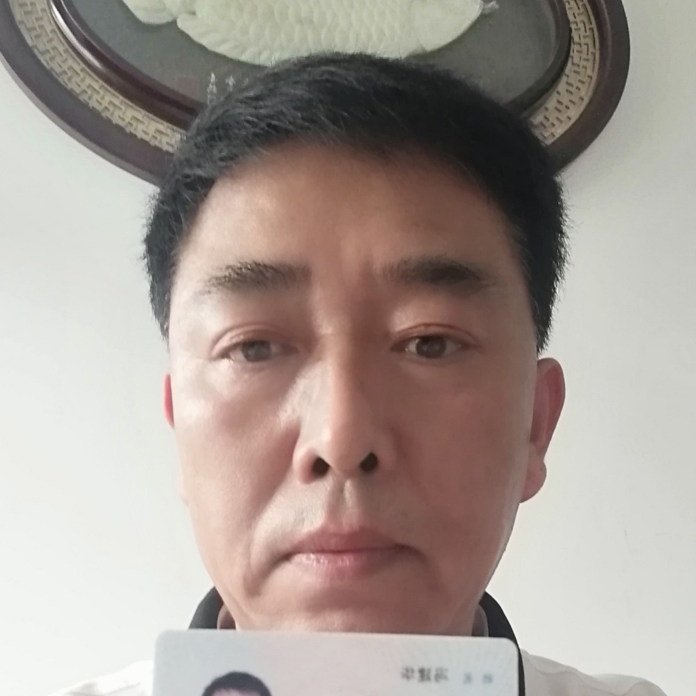 寻找伴侣。的照片