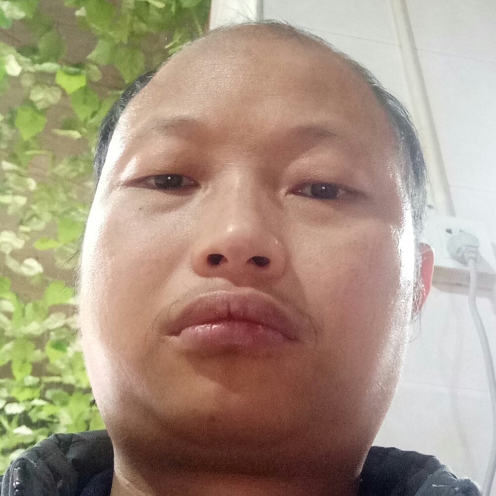 一棵棵树的照片