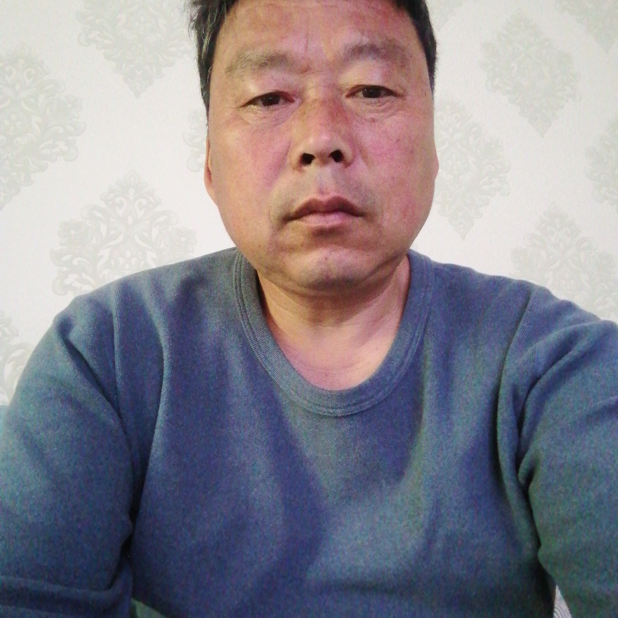 蝶舞踢不安的照片