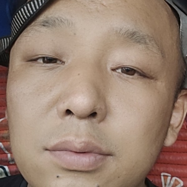 龙猫那凶狠的照片