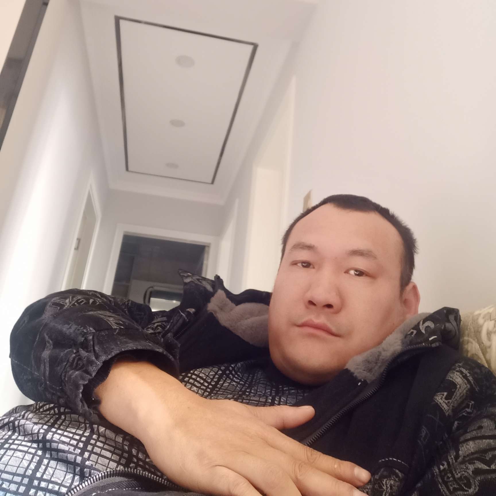 眼睛凝眸野性的照片
