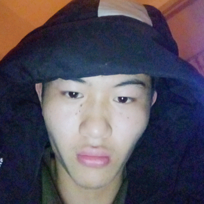 树叶浅吻执着的照片