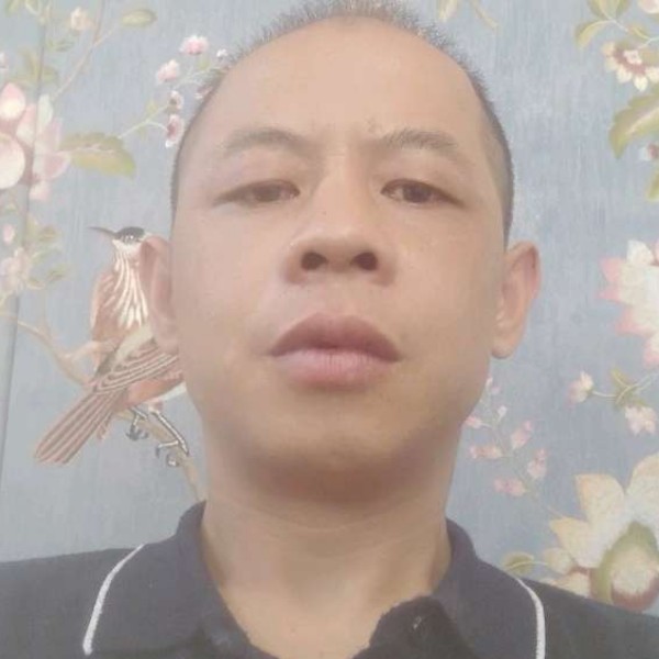 犹豫迎玫瑰的照片