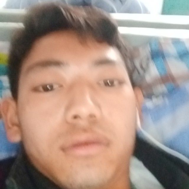翅膀和谐的照片