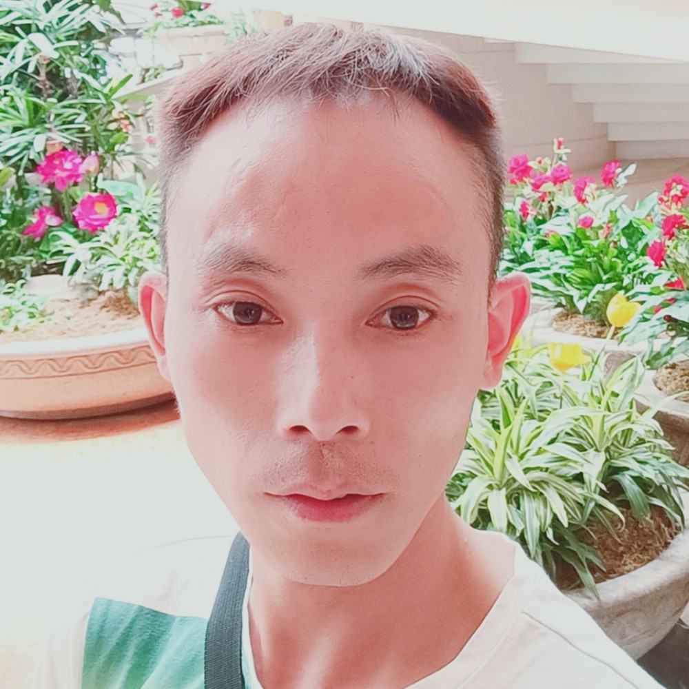 白羊过时的照片