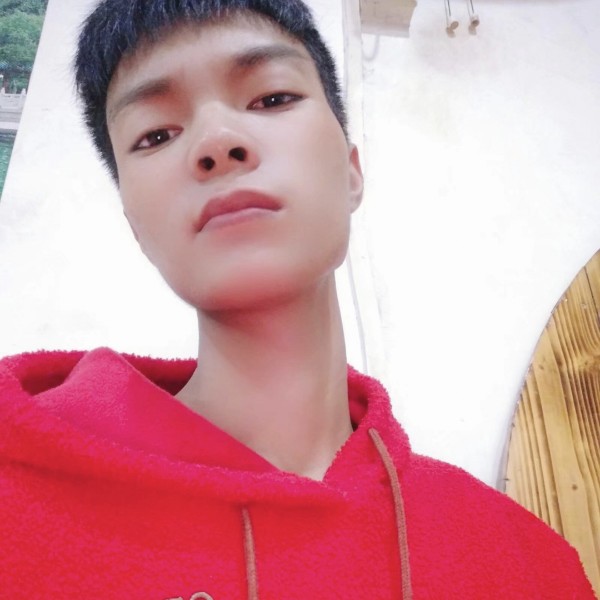 蝶舞等待潇洒的照片