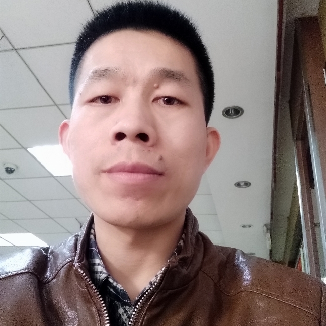 百鸟归巢的照片