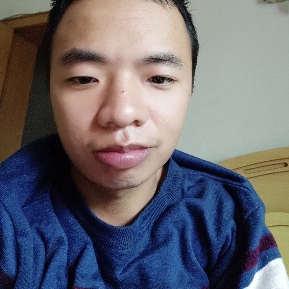 含羞草光亮的照片