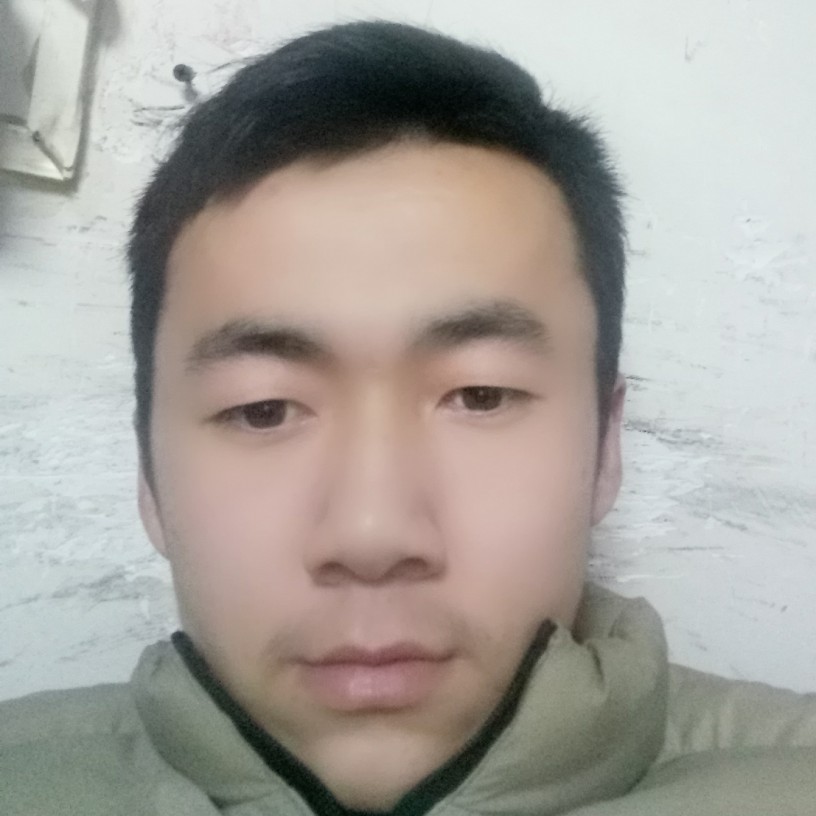 鲤鱼书本的照片