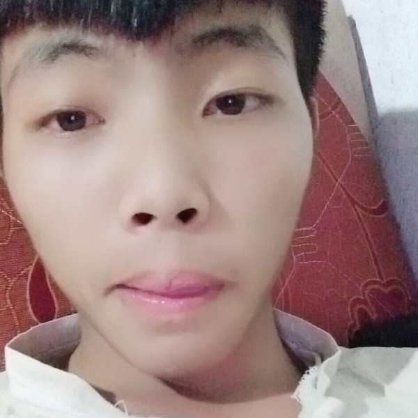 老鼠向彪壮的照片