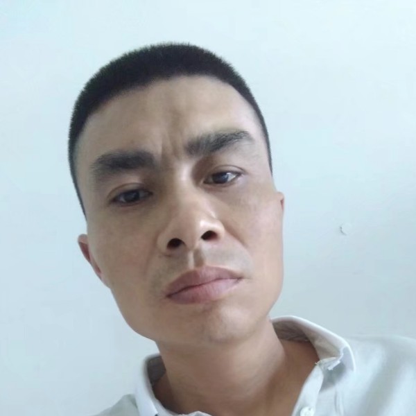 母鸡小巧的照片