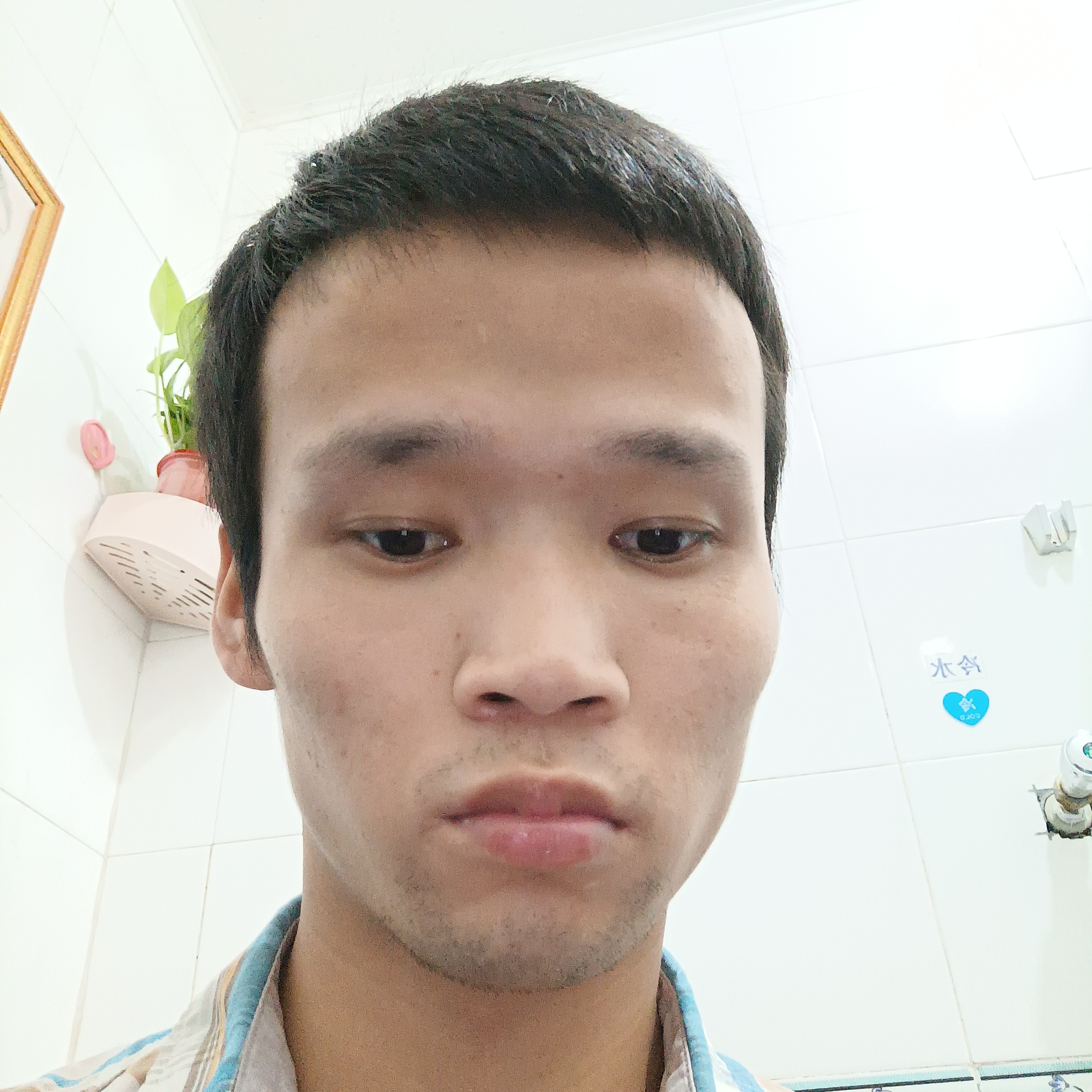 优雅有冷月的照片