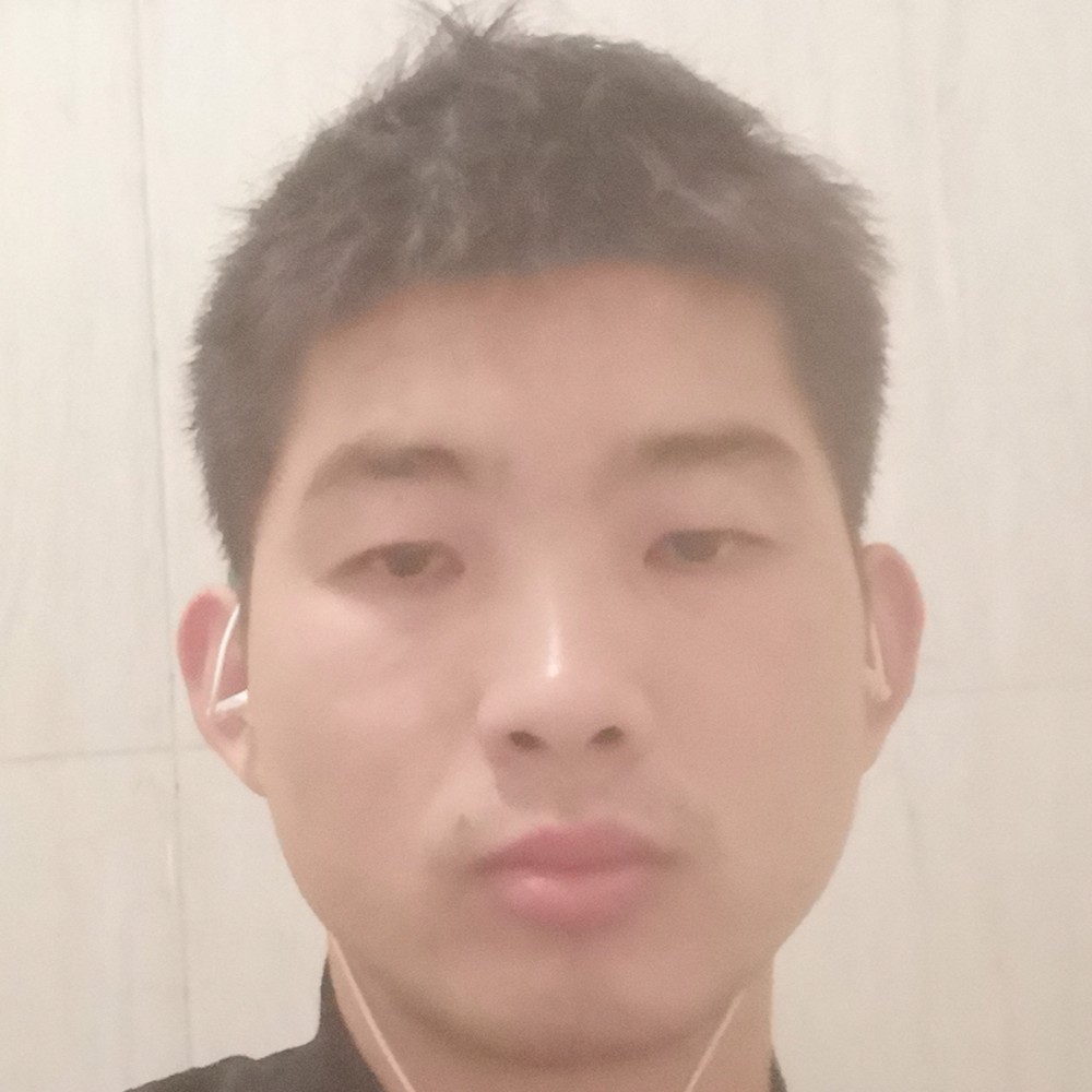 猎豹玩命的照片