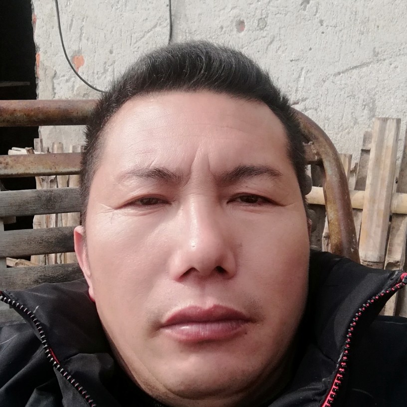 781的照片