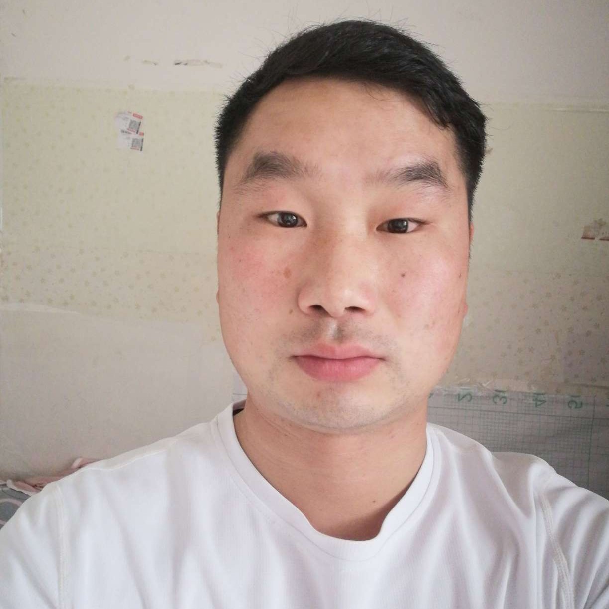 迅速回首战斗机的照片