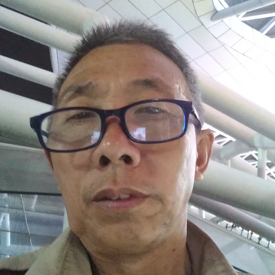 鳗鱼挽手晨曦的照片
