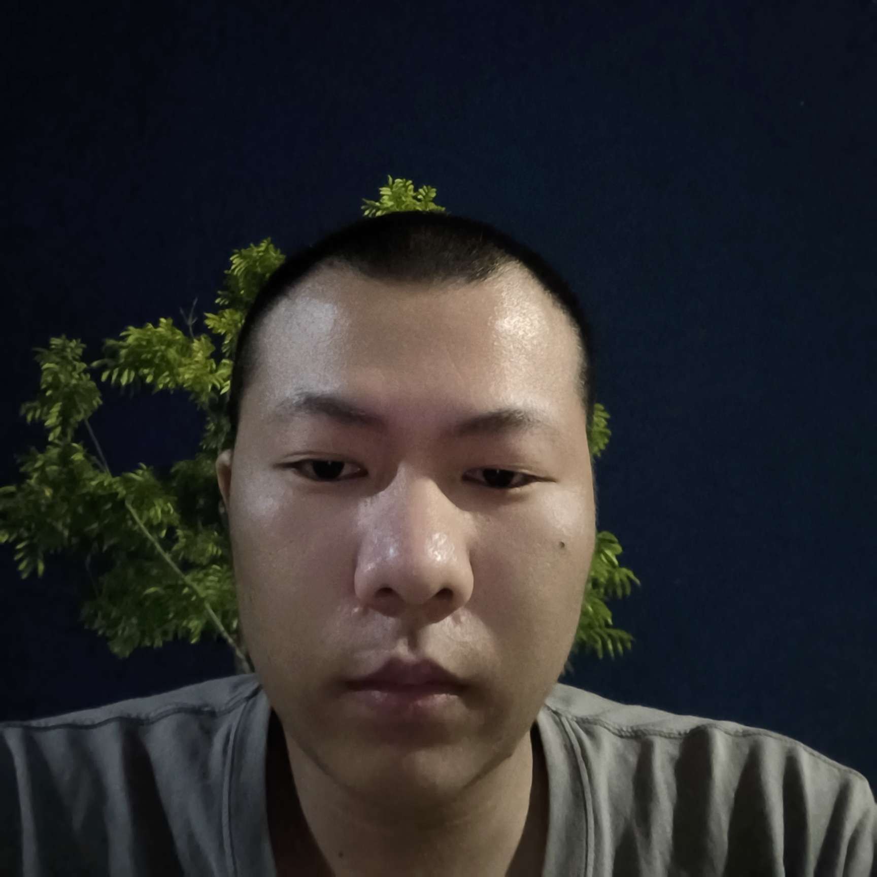 阳光下de棉花糖的照片