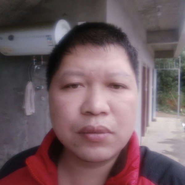 小土豆现代的照片