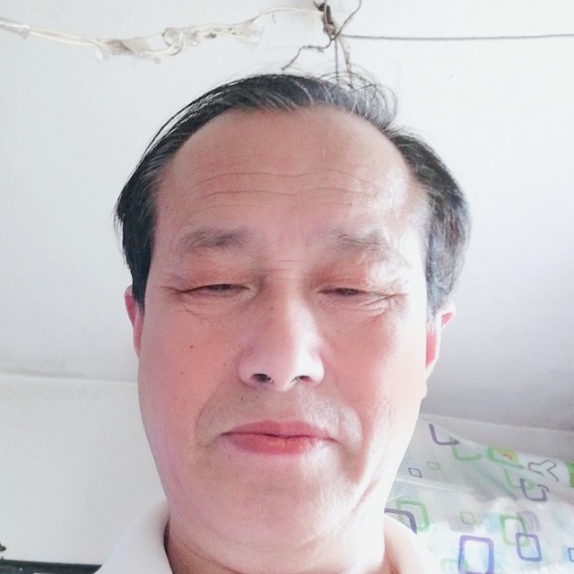 麦片蹙眉专注的照片