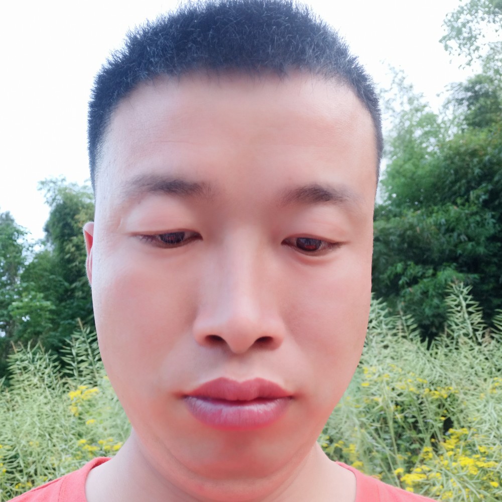 星雨用文艺的照片