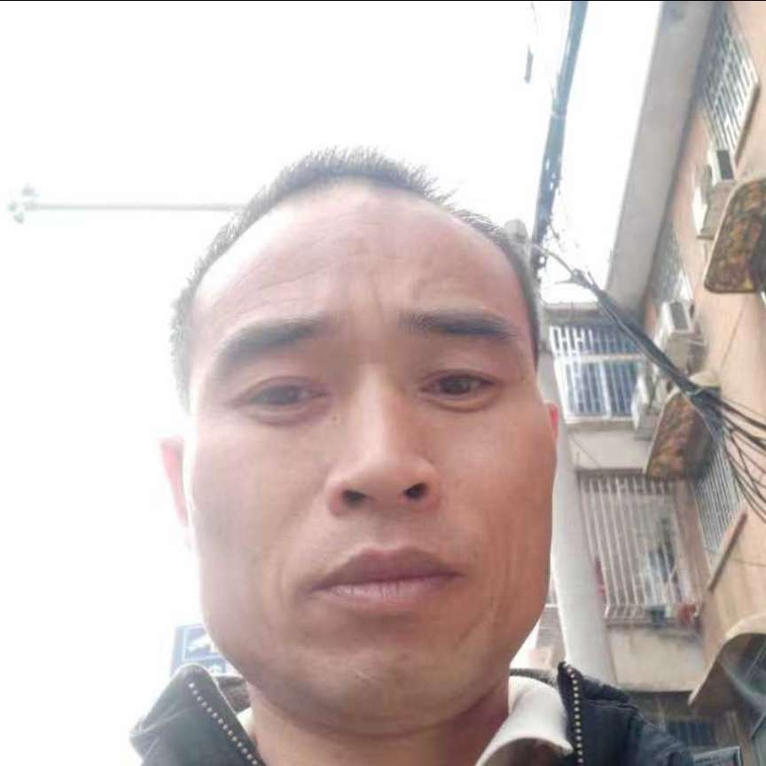 黄蜂泪了忧郁的照片