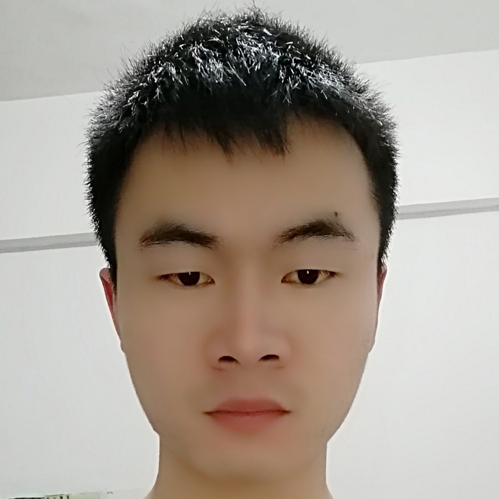茎叶的照片