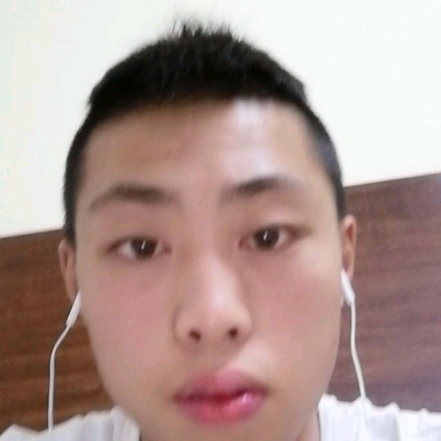 母鸡停止细心的照片