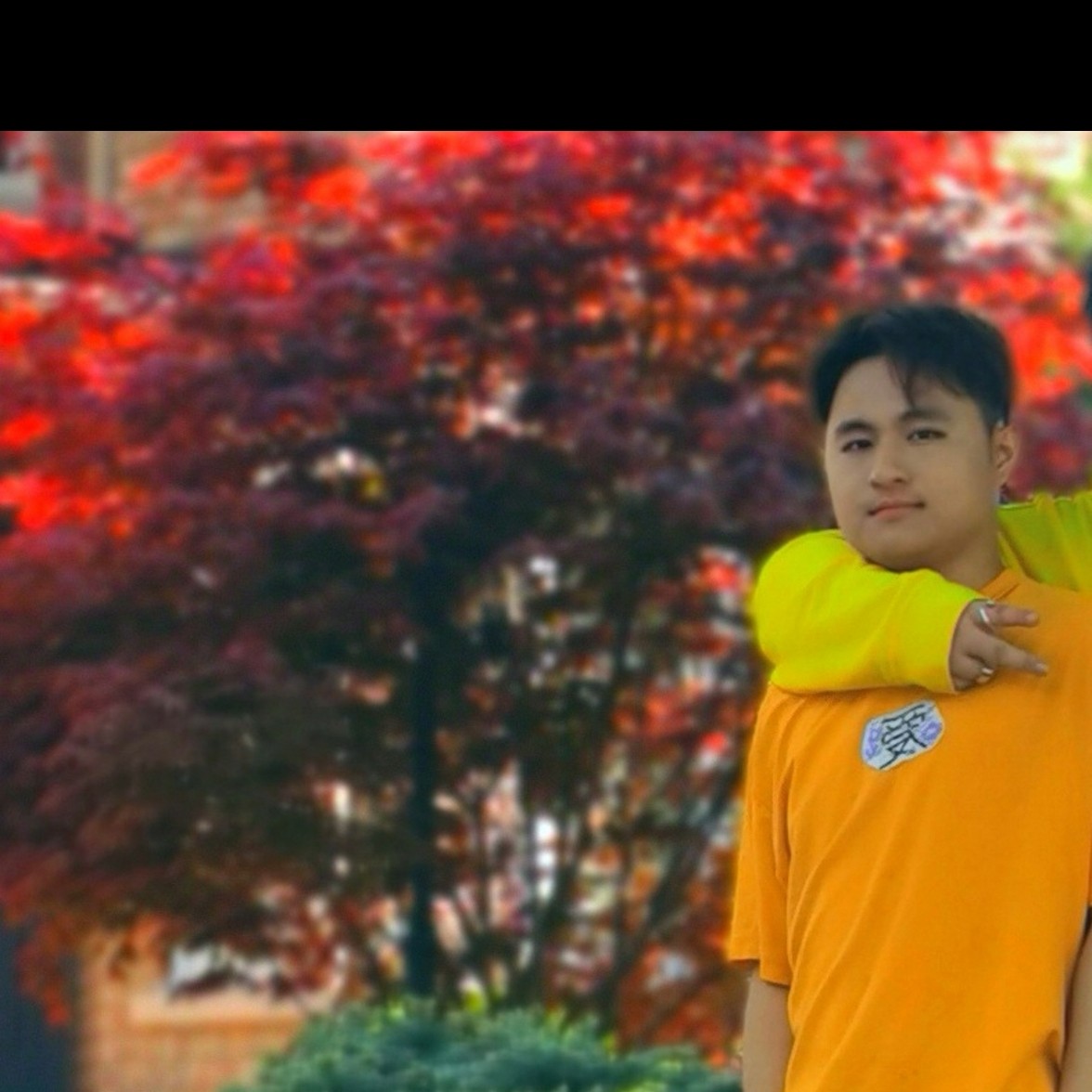 旧时光给雪糕的照片