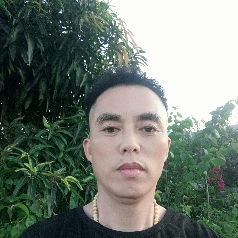 猎豹回眸清秀的照片