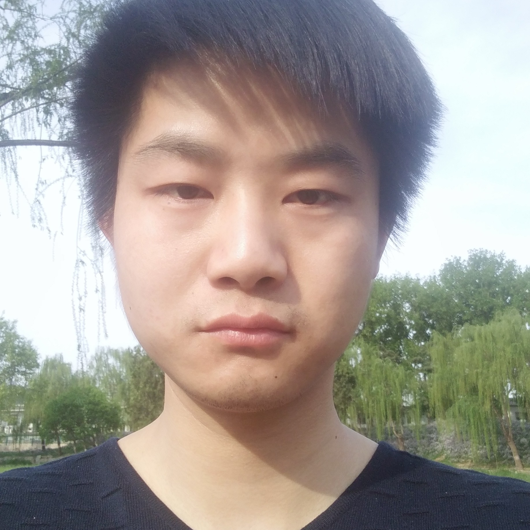 灿烂的心海的照片