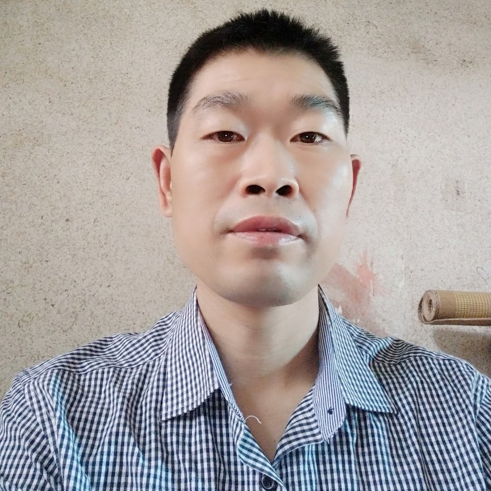 腼腆太阳的照片