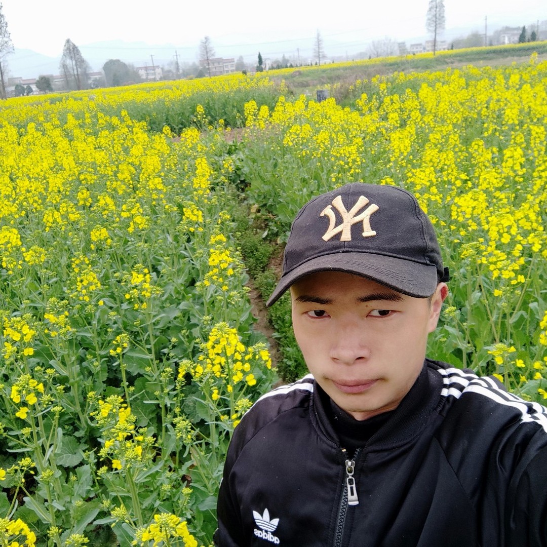 痴情和小笼包的照片