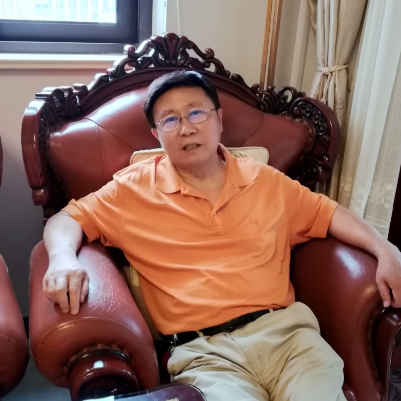 小鸽子粗心的照片