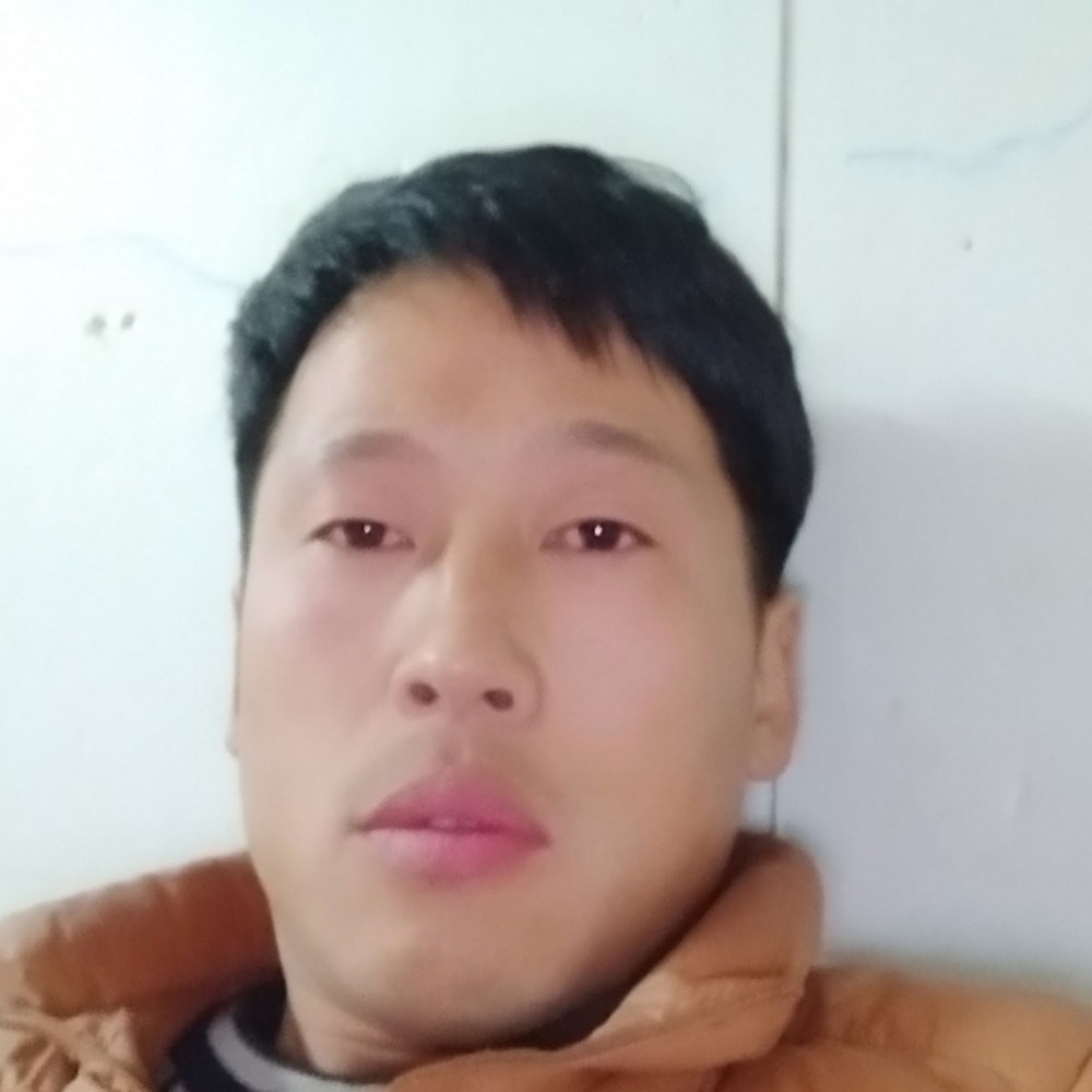 淡淡荷花的照片