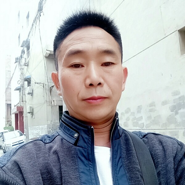 老虎漫步多情的照片
