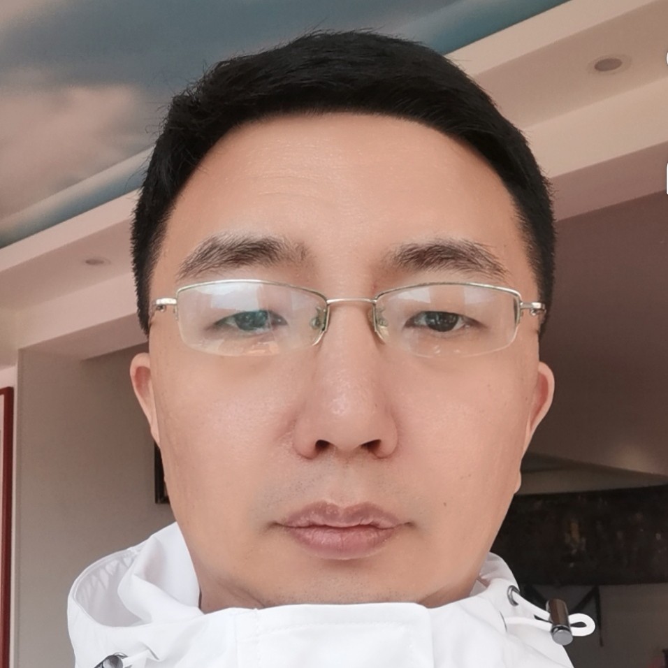 北极熊的照片