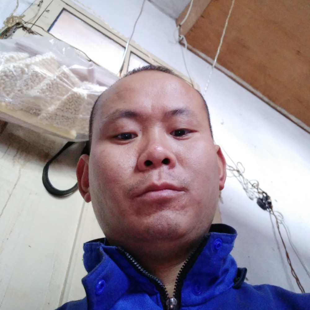 俏皮放弃铅笔的照片