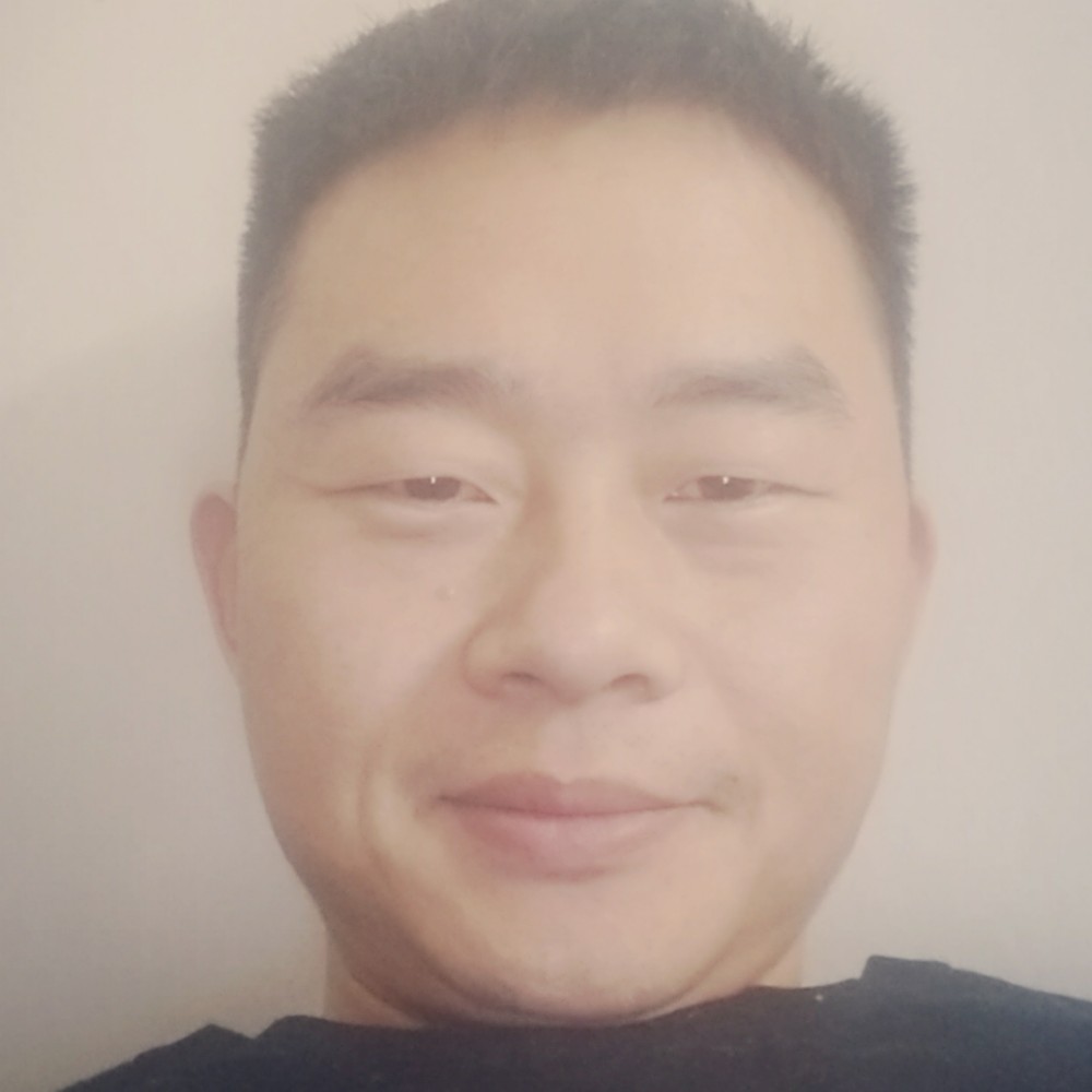 踏实有向日葵的照片