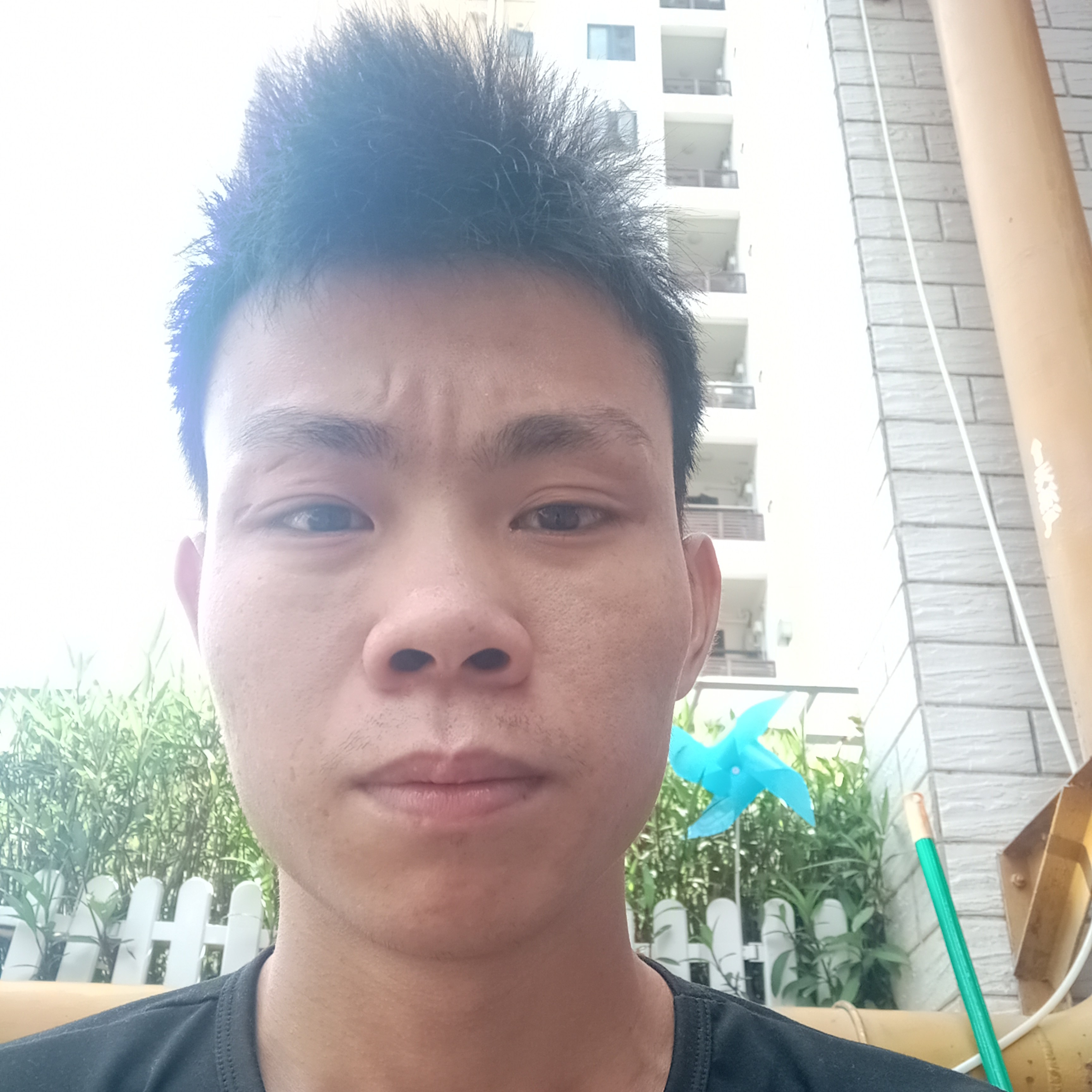 宝马請辛勤的照片