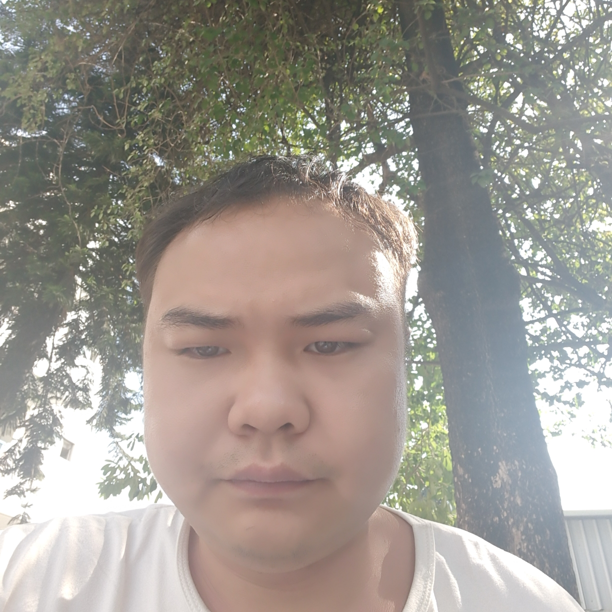 幻殇方烂漫的照片