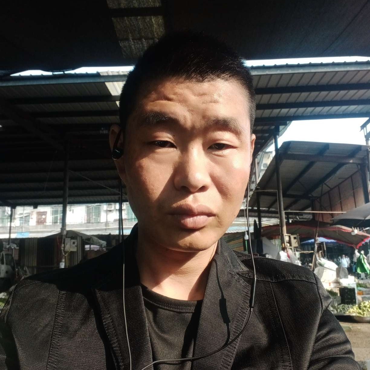 520的狼的照片