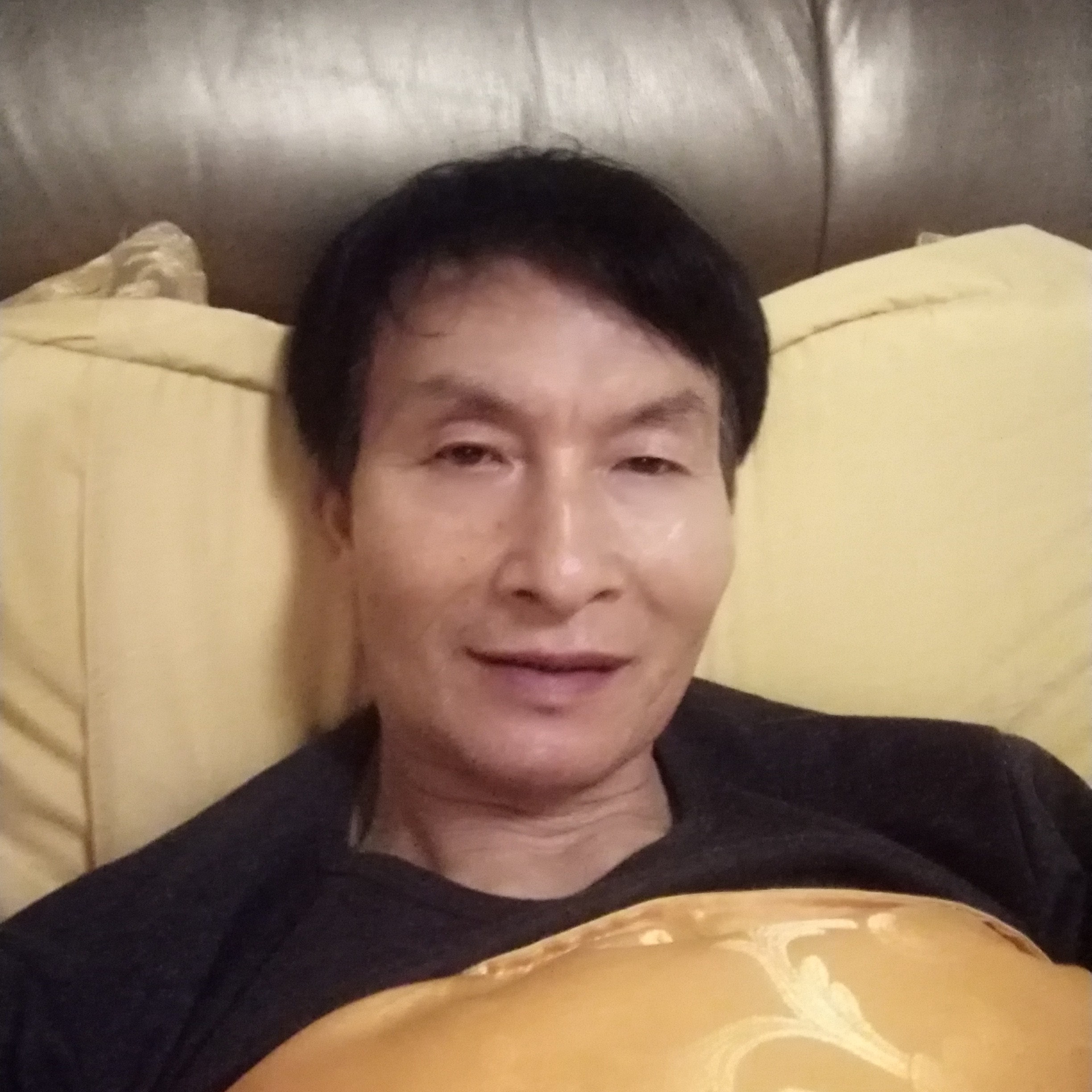狗扯生动的照片