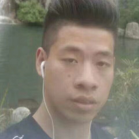 星星泪了无情的照片